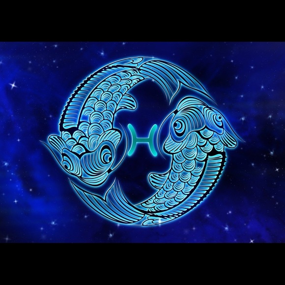 Meet your Posher, Trinity - Picture 2 of 2